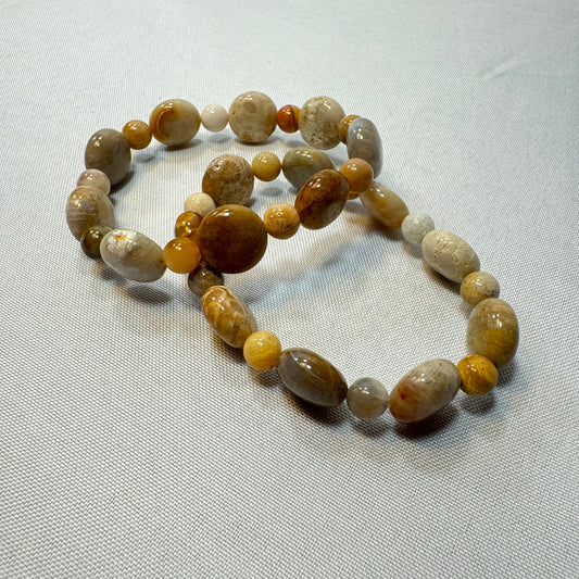 Picture Jasper (Disc Cut) Stretch Bracelet